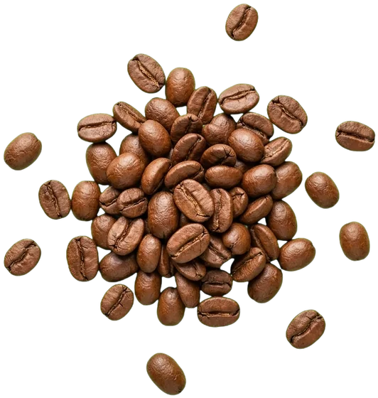 A small pile of medium-roast Gayo coffee beans
